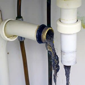 Sink traps source of antibiotic-resistant bacteria in ICU Sink traps source of antibiotic-resistant bacteria in ICU