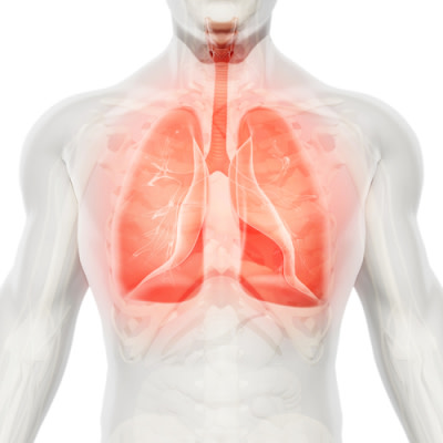 AI can triage chest X-rays in record time AI can triage chest X-rays in record time