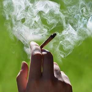 Perioperative Management of Chronic Cannabis Users Perioperative Management of Chronic Cannabis Users