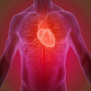 Heart-on-a-Chip Technology Directly Measures In-Vivo Cardiac Performance Heart-on-a-Chip Technology Directly Measures In-Vivo Cardiac Performance