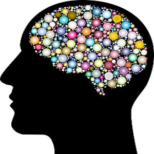 Heart Health Problems Affect Brain Health Heart Health Problems Affect Brain Health