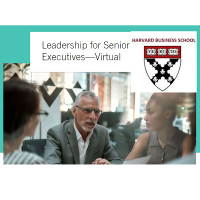 Leadership for Senior Executives Leadership for Senior Executives
