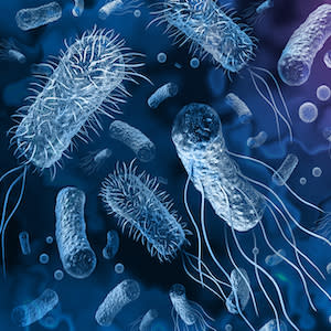Trends in Antimicrobial Prescribing During Hospitalisation for Sepsis Trends in Antimicrobial Prescribing During Hospitalisation for Sepsis