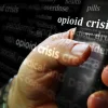 Persistent Opioid Use Among ICU Survivors After Discharge