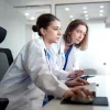 Two clinicians reviewing medical data together on a desktop computer.