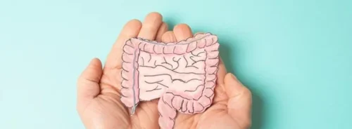 Hands holding a paper model of the human colon and intestines, representing gut and colorectal health.
