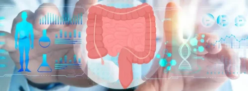 Doctor using digital gastrointestinal health technology, supporting digestive disease assessment, patient data analysis and precision gastroenterology care.