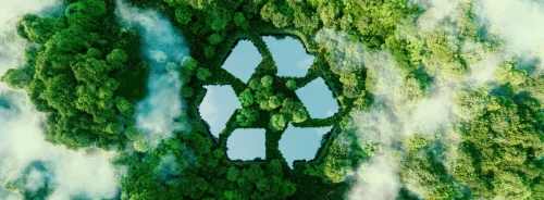 Forest recycling concept, supporting sustainability, circular economy, environmental responsibility and green healthcare initiatives