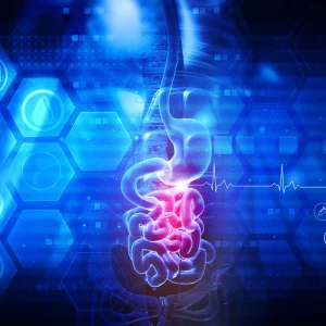 Digital digestive health concept, supporting gastroenterology, gastrointestinal diagnosis, patient monitoring and connected clinical care.