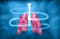 Enhanced Prediction of Lung Ablation Zones Using Data-Driven Deep Learning