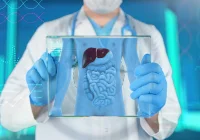 Radiomics to Predict Microvascular Invasion Status in Hepatocellular Carcinoma