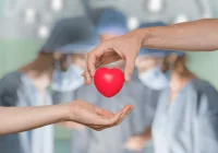 Performance Feedback Interventions Increase Organ Donor Registrations