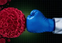 Digital Solutions for Cancer Care: The Role of AI in Precision Medicine