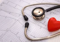 Advancing Coronary Artery Disease Diagnosis with CT-DAI