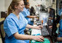 Strategies for Sustainable IT Management in Healthcare