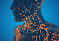 Essential Guidelines for Lymphoma Imaging