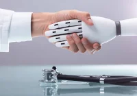 Ensuring Safety and Trust in AI Development