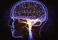 Comparing Imaging Techniques for Intracranial Calcification Detection
