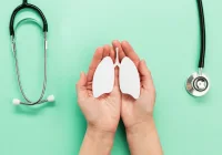Hands Holding Lungs Icon – Symbol of Lung Health and Respiratory Care Awareness