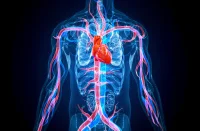 Fixed-Dose Combination Therapies and Cardiovascular Mortality and Events