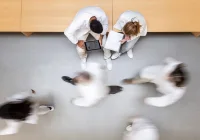 Clinicians review patient workflow on tablet and notes as staff move through a hospital corridor, illustrating human factors, teamwork and patient safety. 