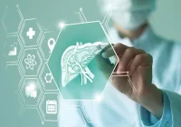 Medical technology illustration showing a clinician interacting with a digital interface displaying a stylised liver, symbolising hepatology, liver diagnostics or digitally supported clinical decision-making.