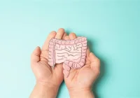 Hands holding a paper model of the human colon and intestines, representing gut and colorectal health.