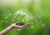 Hand holding a small tree and coins with sustainability icons, representing green investment and environmental responsibility.