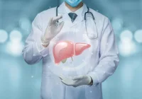 Doctor with digital liver illustration, supporting hepatology, liver disease assessment, clinical monitoring and personalised care planning.