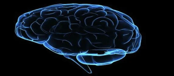 €150 million for Brain Research Launches EU 'Month of the Brain'