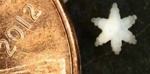 Soft Robotics Lend a ‘Hand’ To Surgery, Drug Delivery