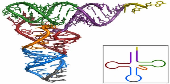 Pandora’s Box of Cancer Biomarkers