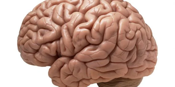 Cyborg Technology: The Future