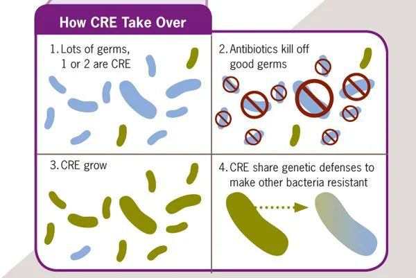 New CDC Vital Signs: Lethal, Drug-resistant Bacteria Spreading in U.S ...