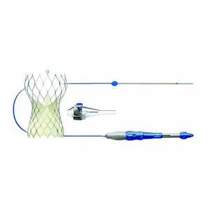 The Medtronic CoreValve® Evolut® R Transcatheter Valve.