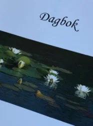 How ICU diaries can help patients and families