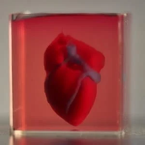 A 3D-printed, small-scaled human heart engineered from the patient's own materials and cells.