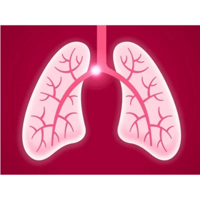 Human Factors Engineering Improves CDS Usability for Pulmonary Embolism Diagnosis
