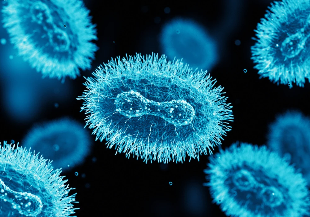 Mpox Outbreak in Africa: A Growing Public Health Concern