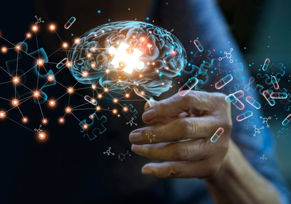 Amyloid PET Imaging to Predict Cognitive Decline in Non-Demented Elderly