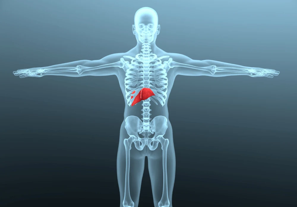 Multi-Parameter Algorithm for Personalised Contrast Injection in Liver CT