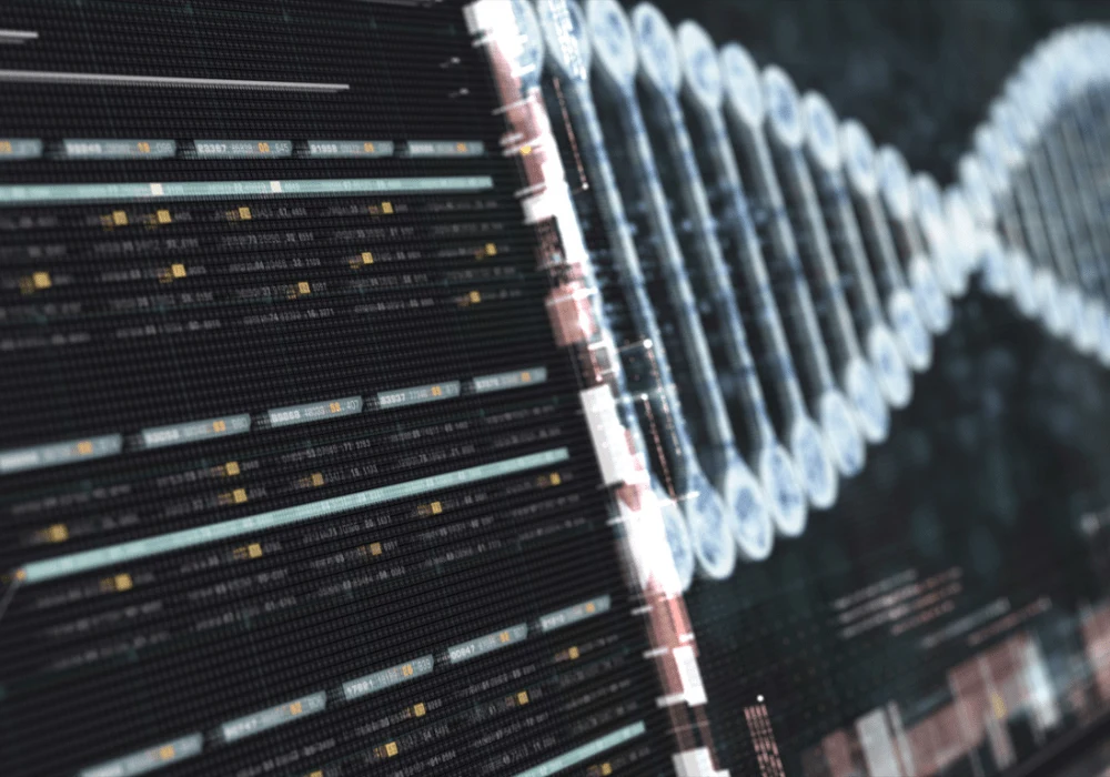 How Bioinformatics Support Personalised Medicine