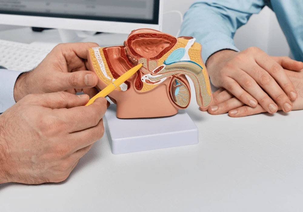 AI-Enhanced MRI for Prostate Cancer Prognosis