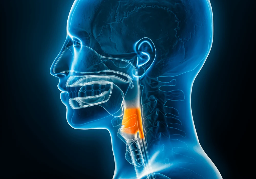 Advancing Predictive Radiomics for HSCC Management