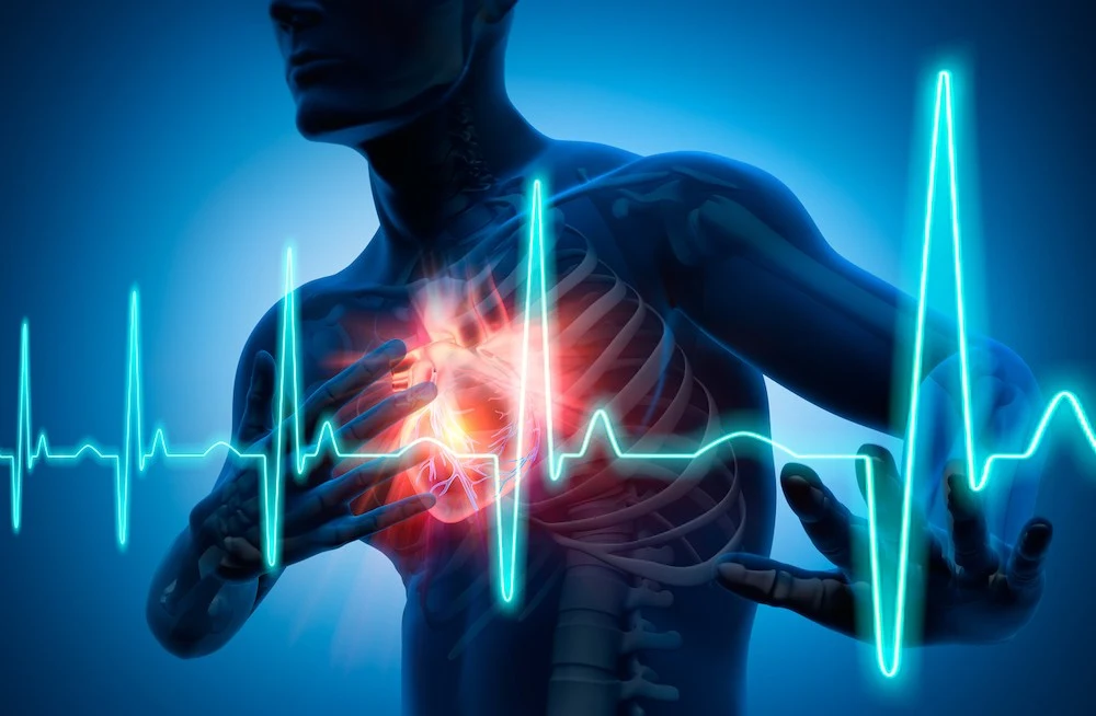 2025 Heart Disease and Stroke Statistics