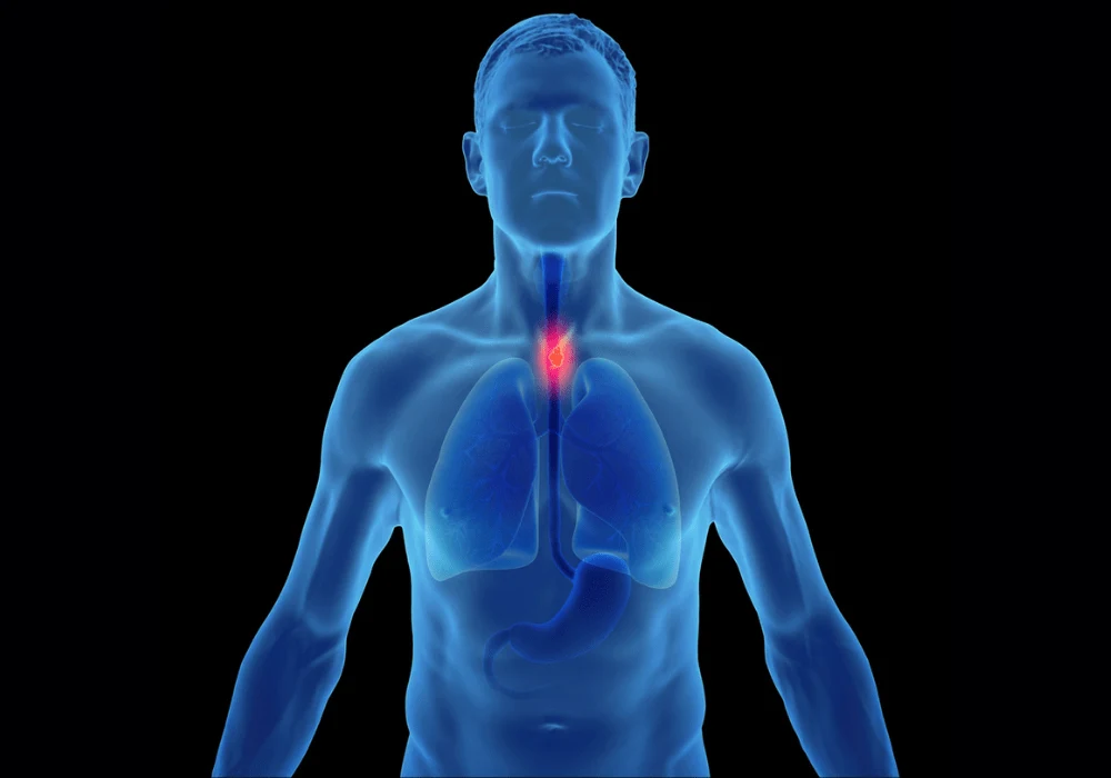 AI and Hyperspectral Imaging for Early Oesophageal Cancer Detection