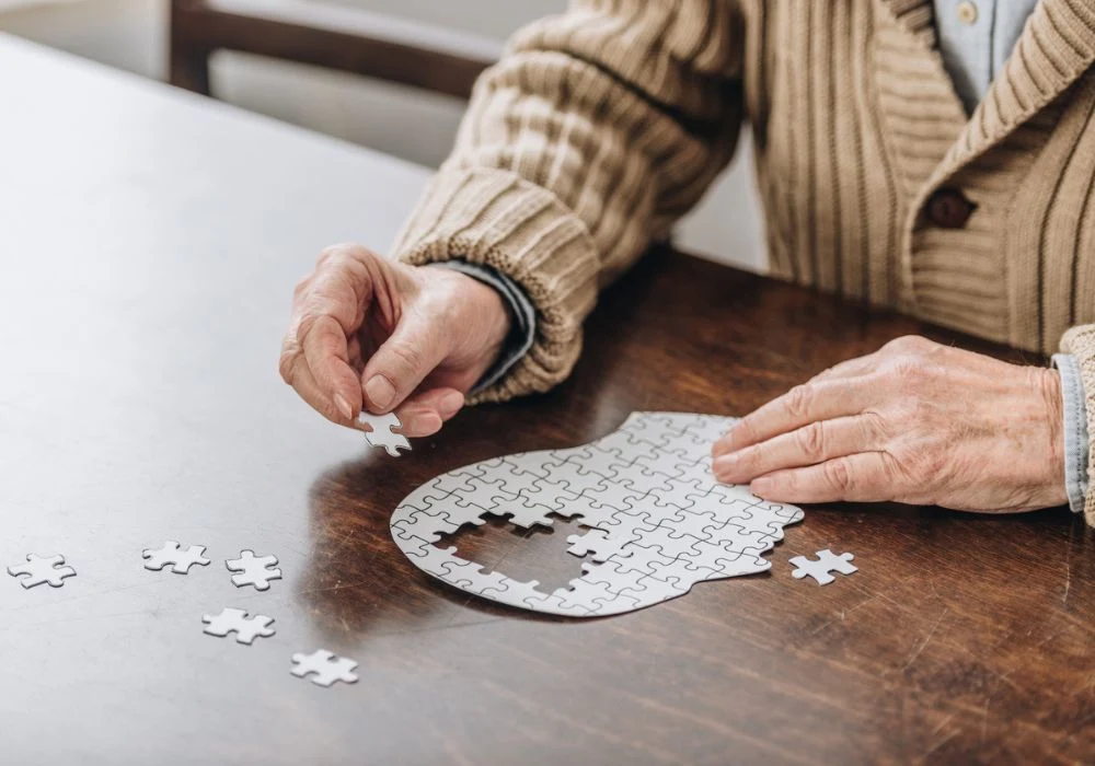 Cognitive stimulation for seniors – fighting Alzheimer’s with brain-training activities 