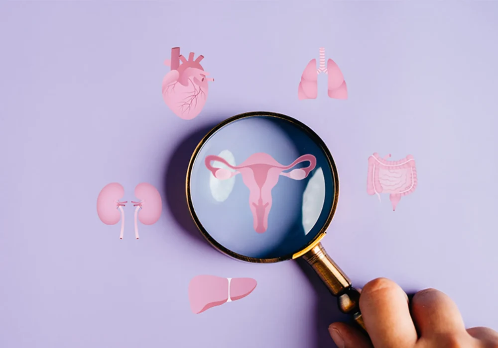 Illustration of female reproductive health, with a magnifying glass highlighting the uterus and surrounding organs, symbolising gynaecology, diagnostic focus, preventive care and women’s health research.