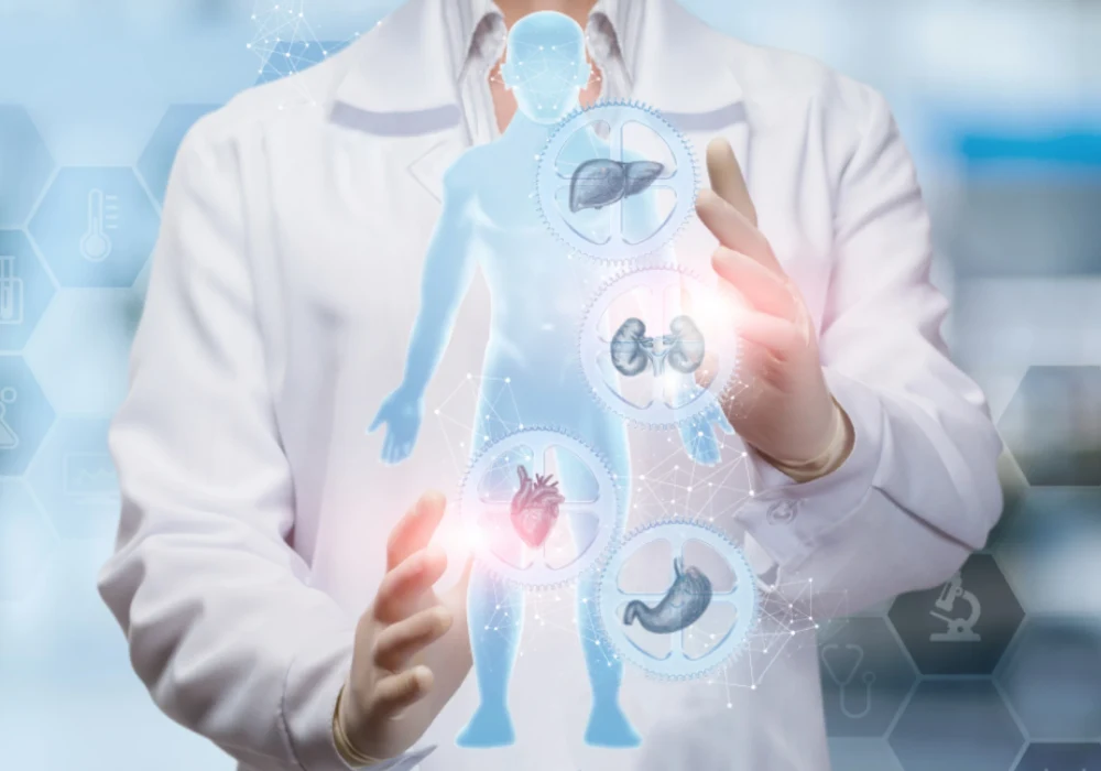 Clinician interacting with a digital human body interface, visualising organ systems and integrated health data, illustrating multi-organ assessment, clinical decision support and digital health technologies.