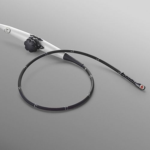 TEExi transducer TEExi transducer
